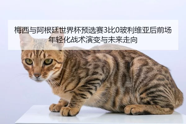 mei-xi-yu-a-gen-ting-shi-jie-bei-yu-xuan-sai-bi-bo-li-wei-ya-hou-qian-chang-nian-qing-hua-zhan-shu-yan-bian-yu-wei-lai-2-202.jpg